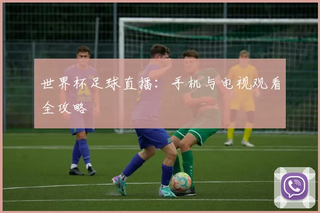 世界杯足球直播：手机与电视观看全攻略