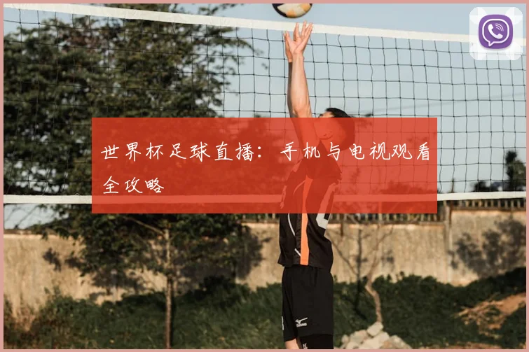 世界杯足球直播：手机与电视观看全攻略