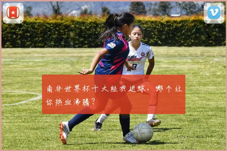 南非世界杯十大经典进球，哪个让你热血沸腾？